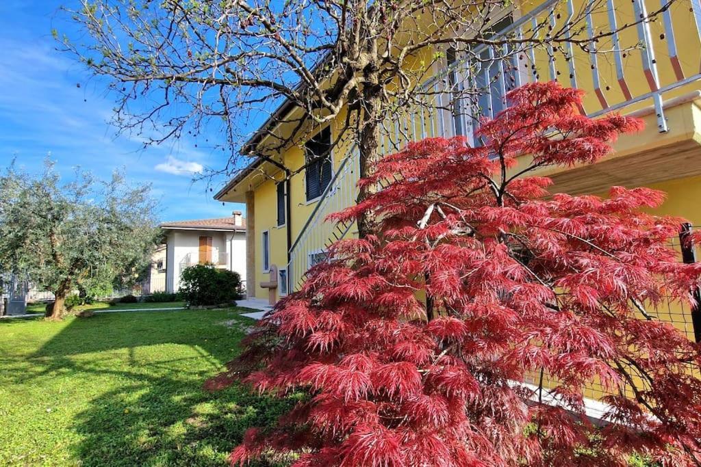 Apartamento Ca' Degli Ulivi Caprino Veronese Exterior foto